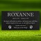 Personalized Cat or Dog Memorial - Granite Stone Pet Grave Marker - 6x12 - Roxanne product 5